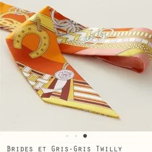 Hermes | Accessories | Nwt Herms Brides Et Grisgris Twilly
